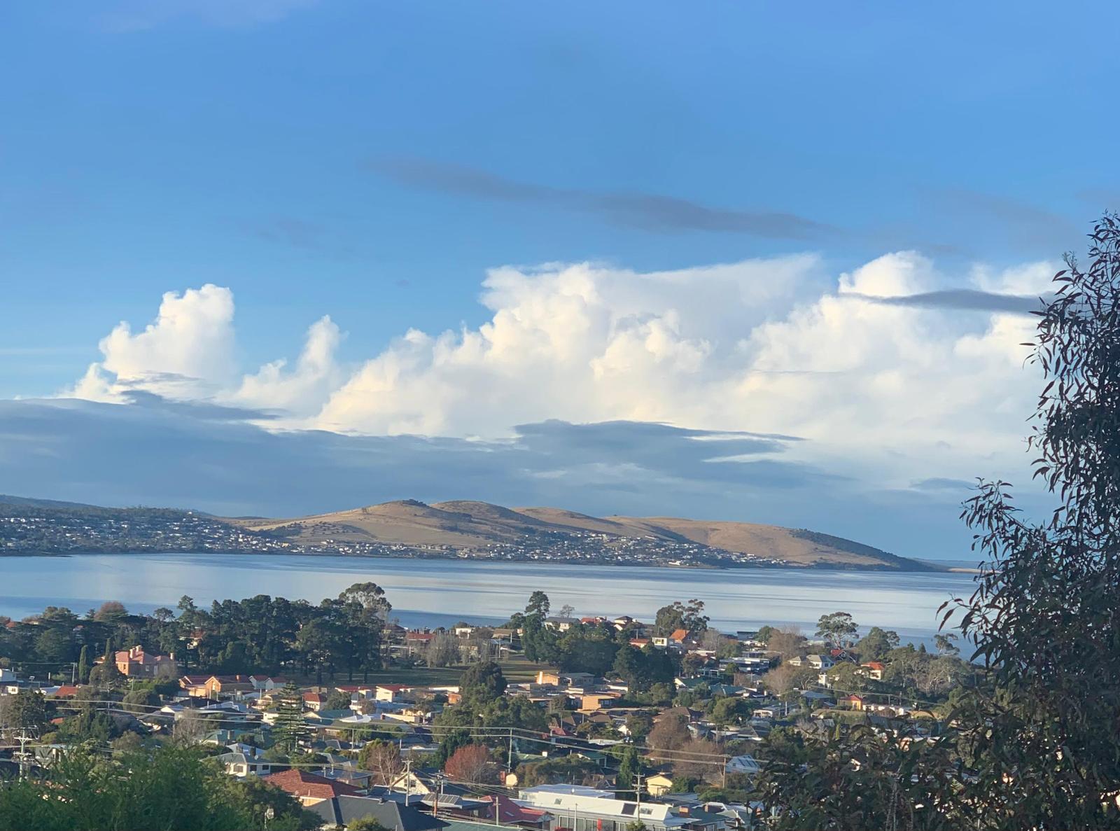 Tentatively Tasmanian